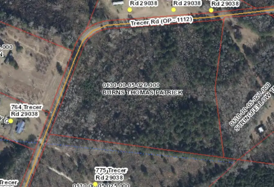 000 Trecer Road, Cope, SC 29038 - Image #2