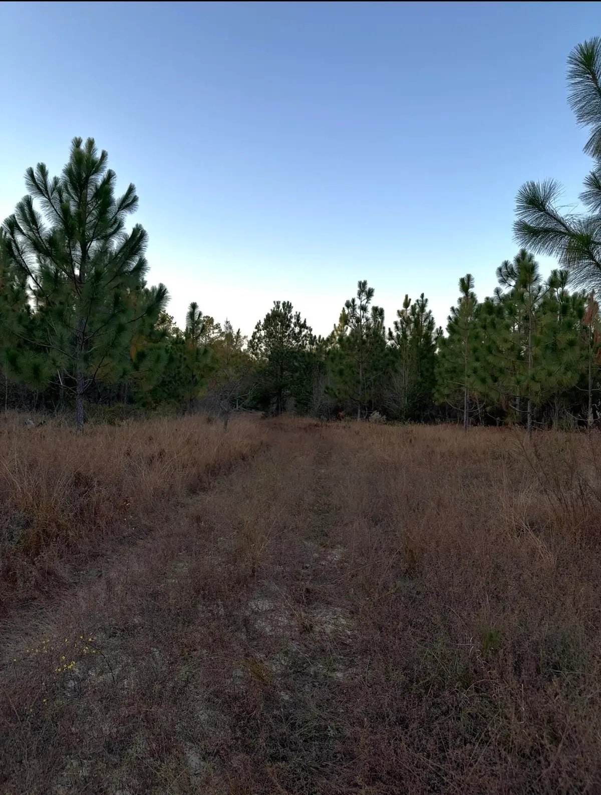 00/Lot 36 Ranchero Road, Aiken, SC 29805 - Image #1
