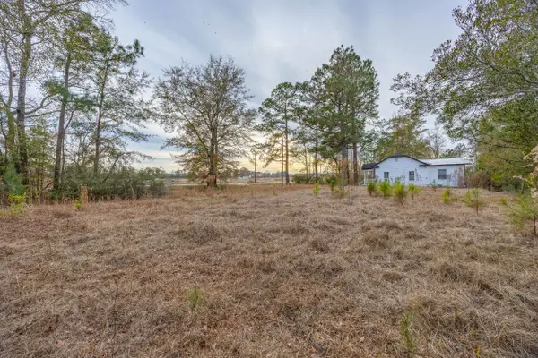 0 Floyd Page Road, Galivants Ferry, SC 29544