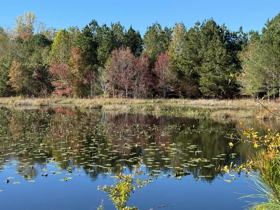 138 Ranchero Street, Aiken, SC 29805 - Image #3