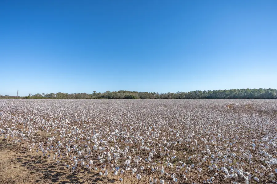 Tbd Woodward Drive, Aiken, SC 29803 - Image #3