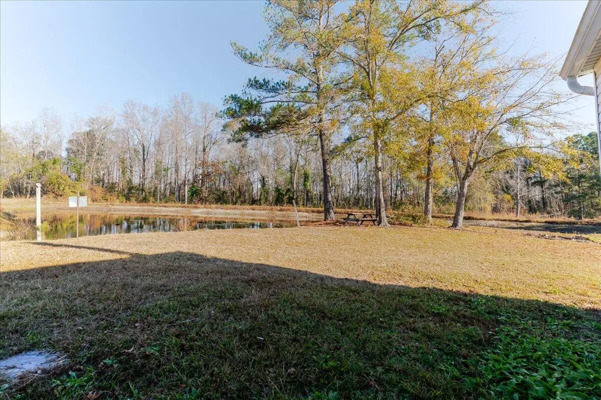36 Tumbleweed Drive, Blackville, SC 29817 - Image #1