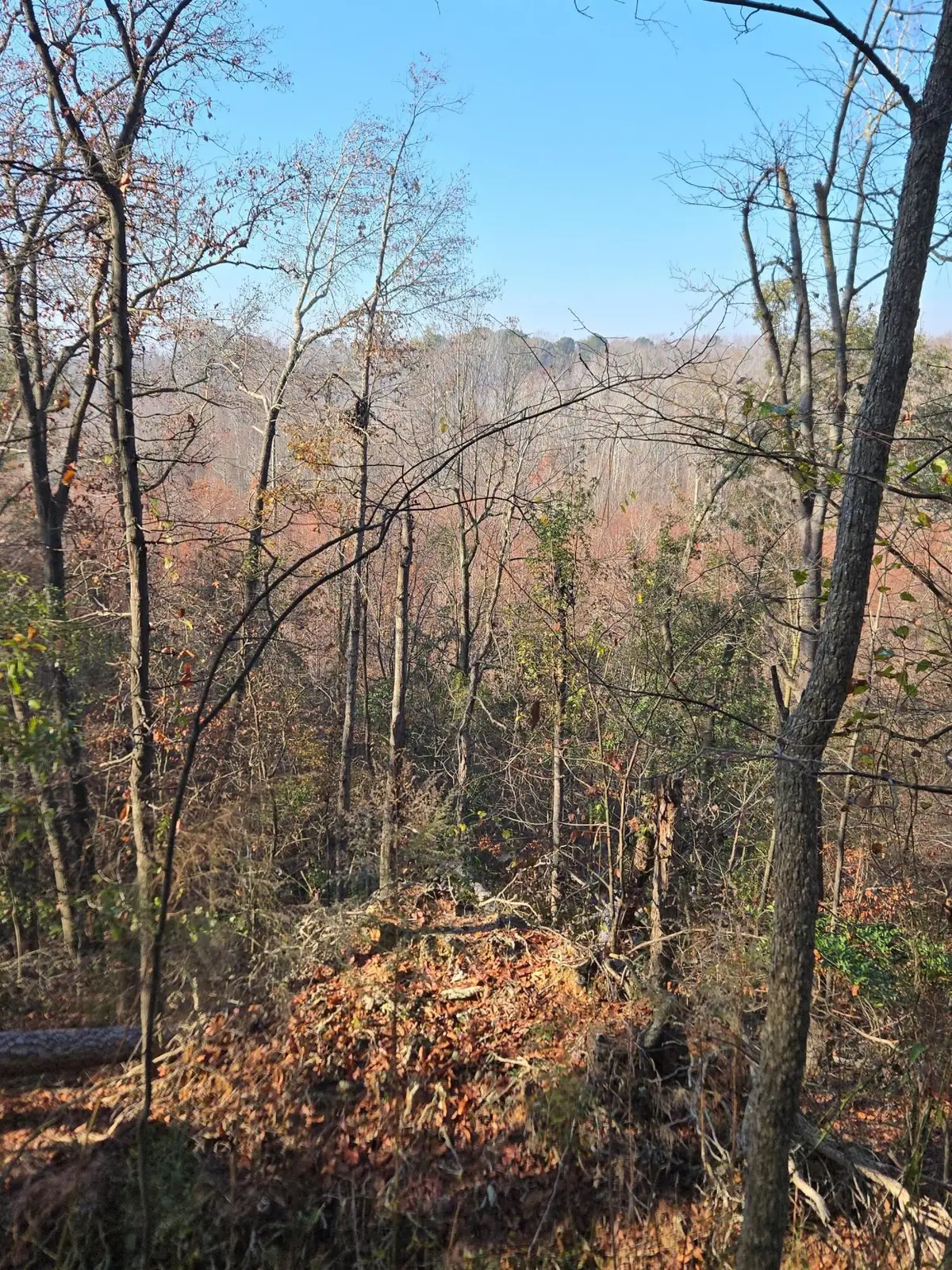 000 Atomic Road, Beech Island, SC 29842 - Image #1