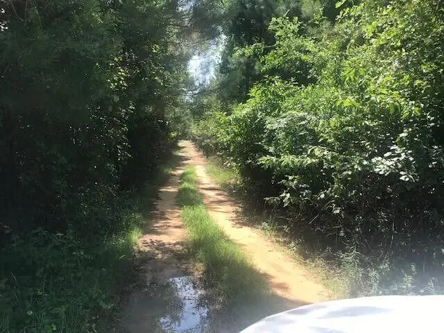 5960 Highway 3, Barnwell, SC 29812 - #1