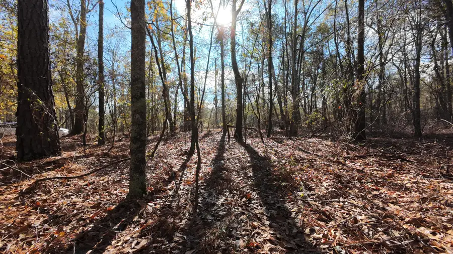 00 Camp Rawls Road, Wagener, SC 29164 - Image #3