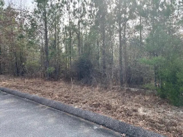 Lot 27 Misty River Trail, Windsor, SC 29856 - #1