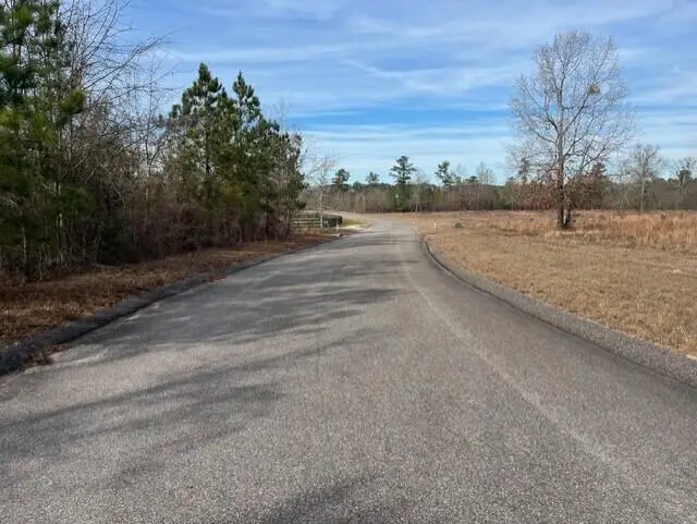 Lot 27 Misty River Trail, Windsor, SC 29856 - #2