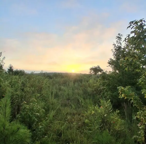 3c Bowie Road, Troy, SC 29848