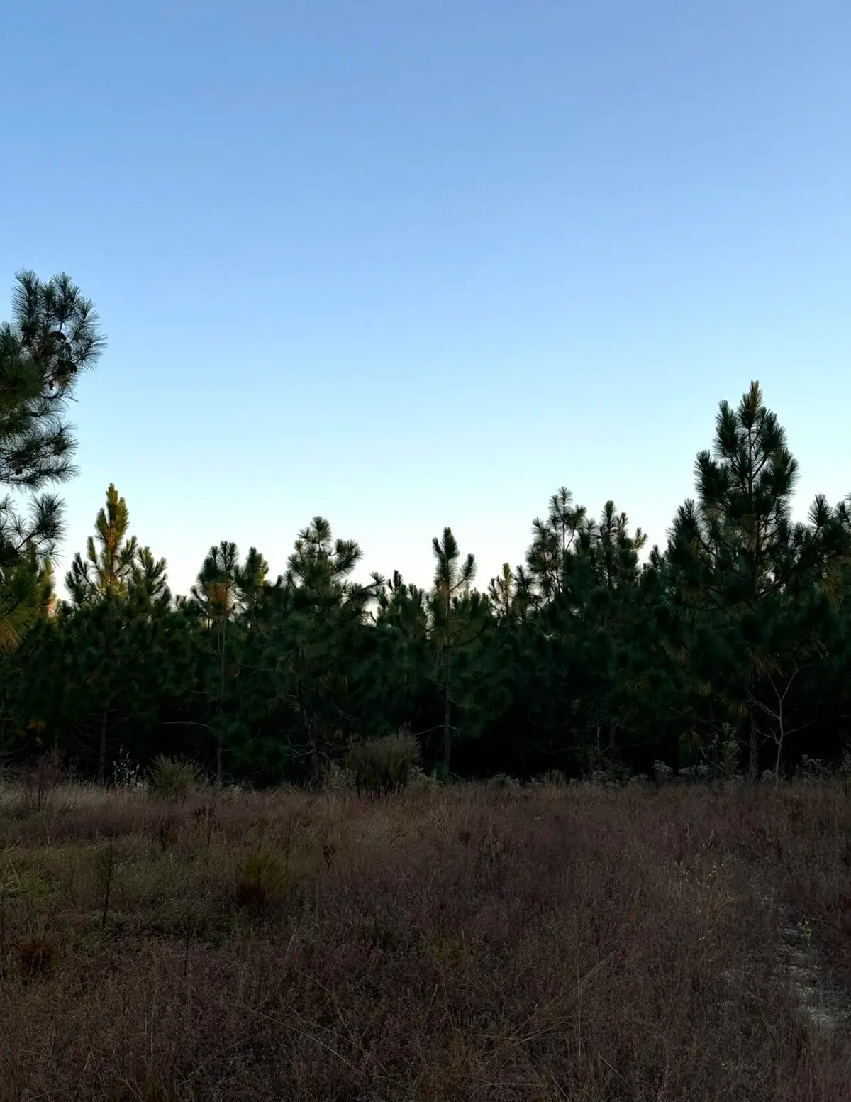 Lot 24 Snipes Pond, Aiken, SC 29805 - Image #1