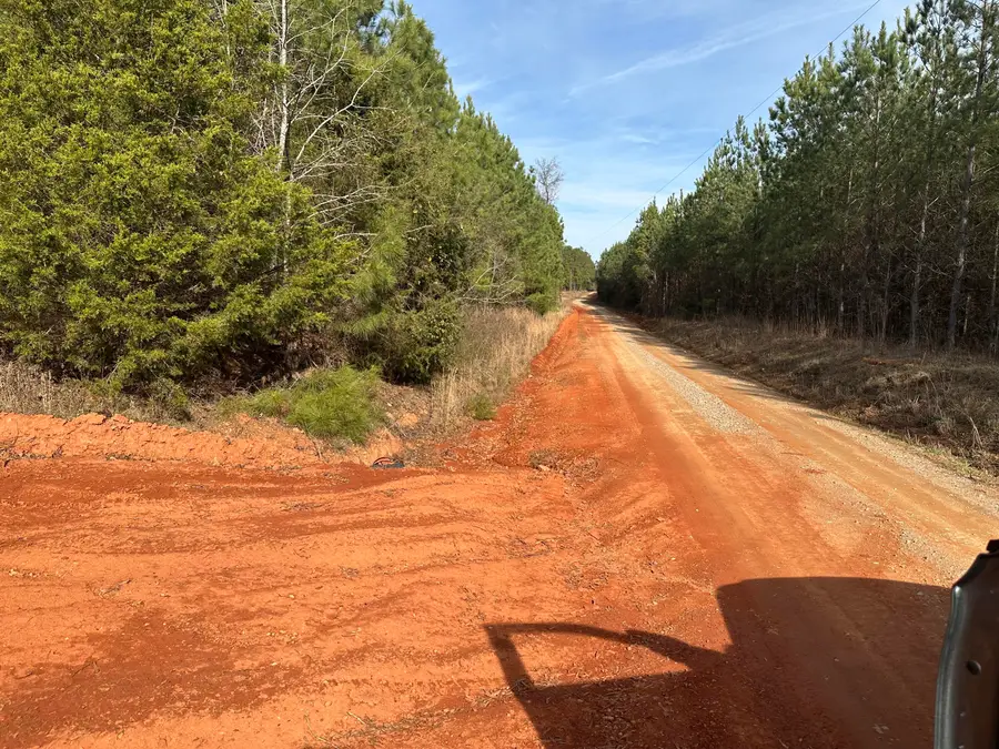 Piney Wood Pineywood Road, Saluda, SC 29138 - Image #2