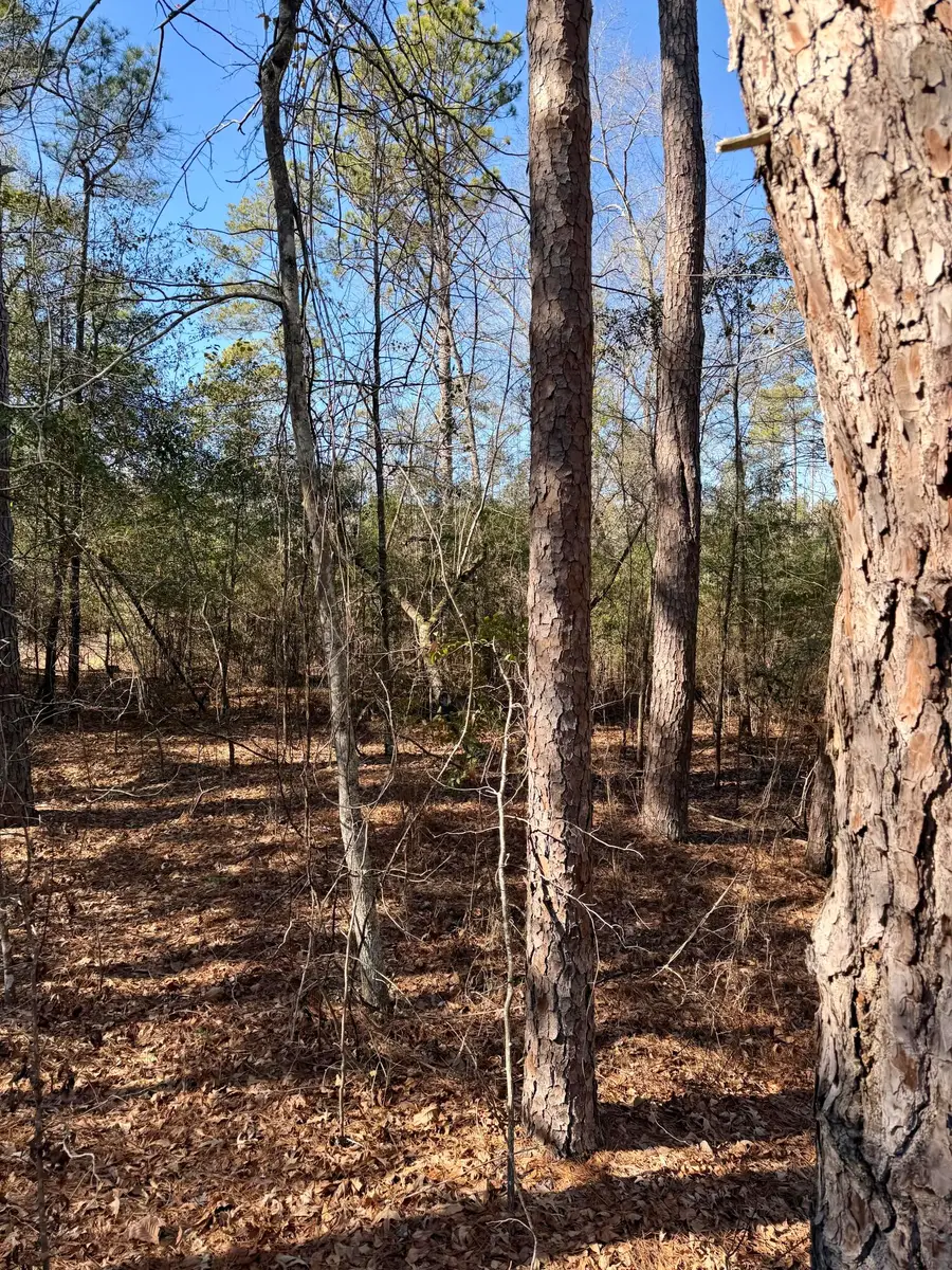 000 Chime Bell Church Road, Aiken, SC 29803 - #3