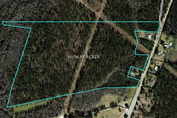 0 Lowcountry Highway, Smoaks, SC 29481