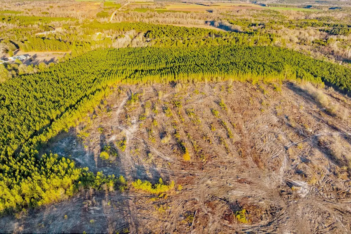 000 Maple Street Se, Salley, SC 29137 - #1