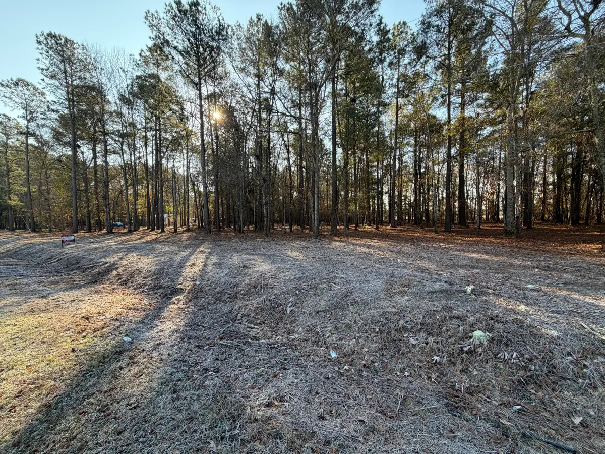 0000 Sapling Road, Barnwell, SC 29812 - #1