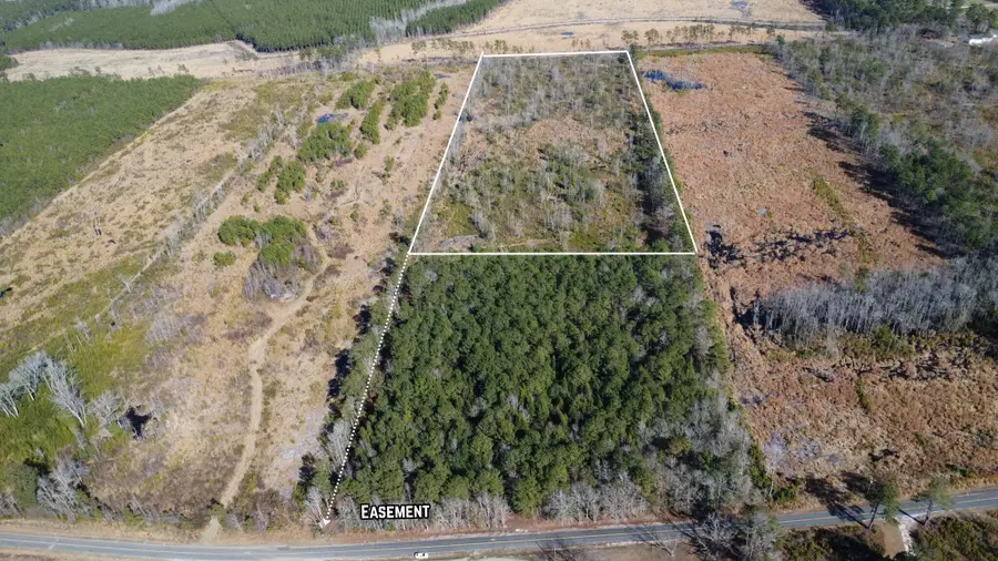 00 Epps Road, Manning, SC 29102 - #3