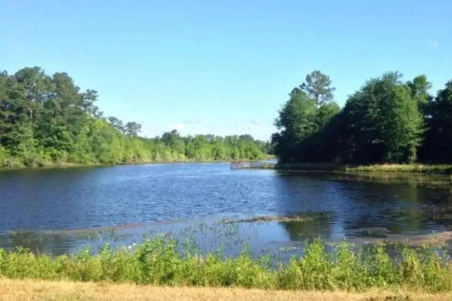 200 Safari Drive, Beech Island, SC 29842 - #2