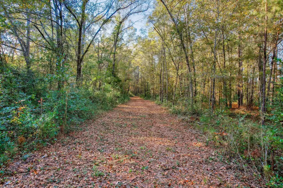 0000 Wrights Mill Road #Tract D, Aiken, SC 29801 - #3