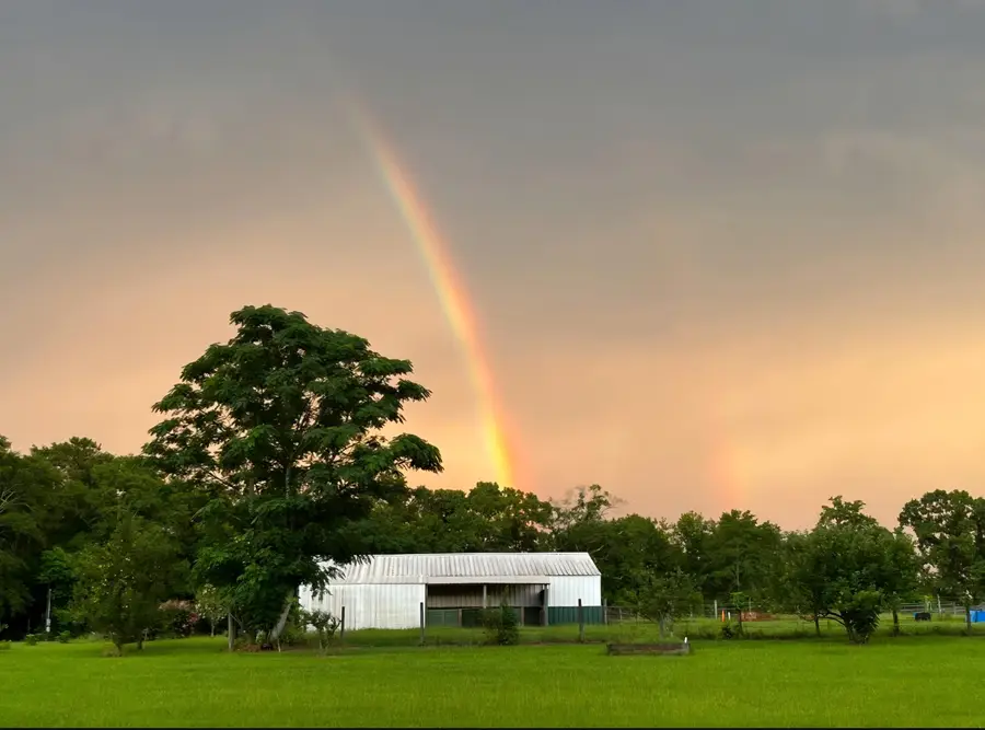 1080 Fox Young Road, Wagener, SC 29164 - #2