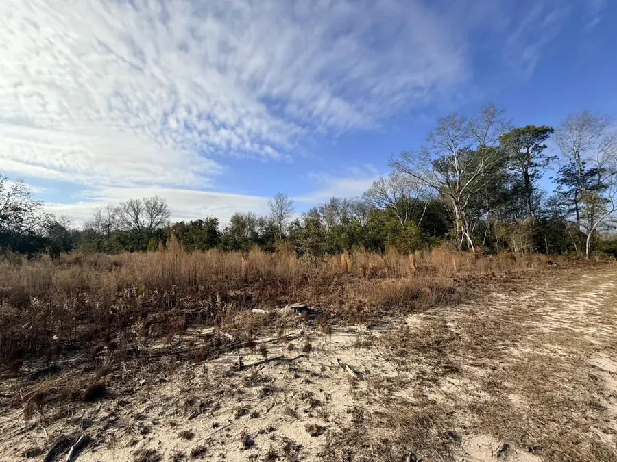 0 Festival Trail Road, Salley, SC 29137 - #2