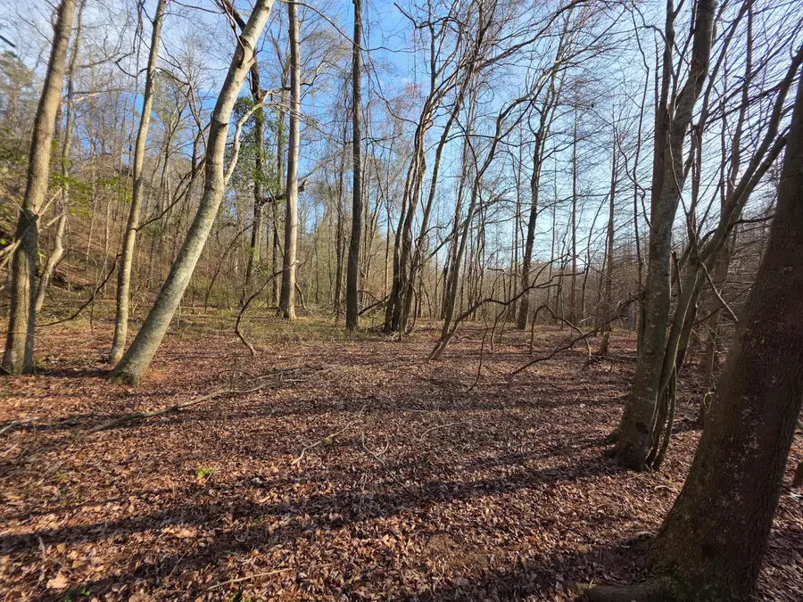 Tbd 7.5 Ac Atomic Road, Beech Island, SC 29842 - #3