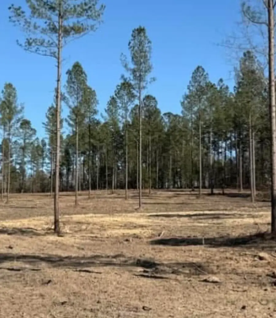 Tbd Wrights Mill Road, Aiken, SC 29801 - #3