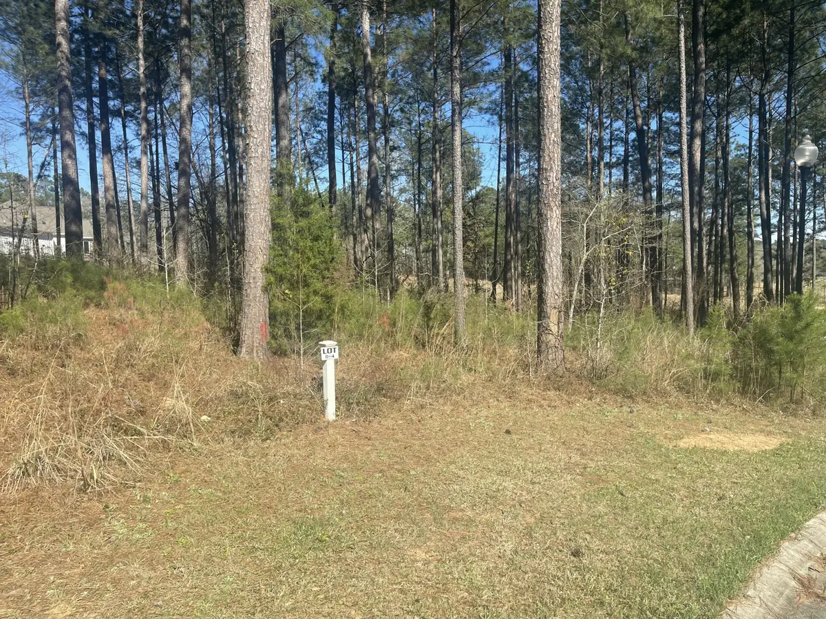Lot O-4 Budwell Court, North Augusta, SC 29860 - #1