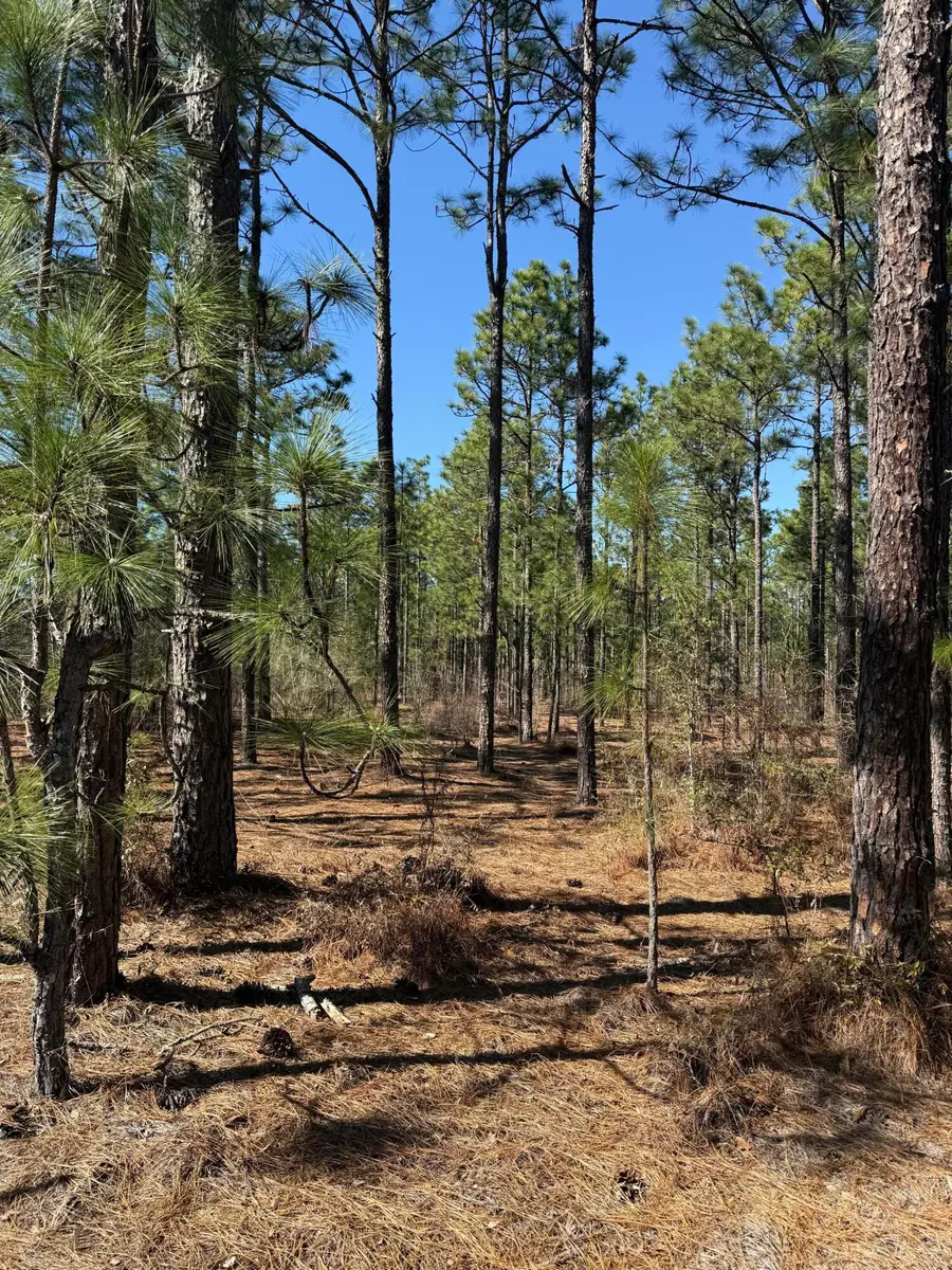 Tbd Fairview Road, Fairview Crossroads, SC 29006 - #3