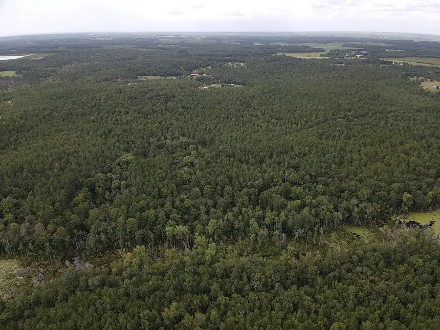 Tbd Johnston Highway, Trenton, SC 29847 - #3