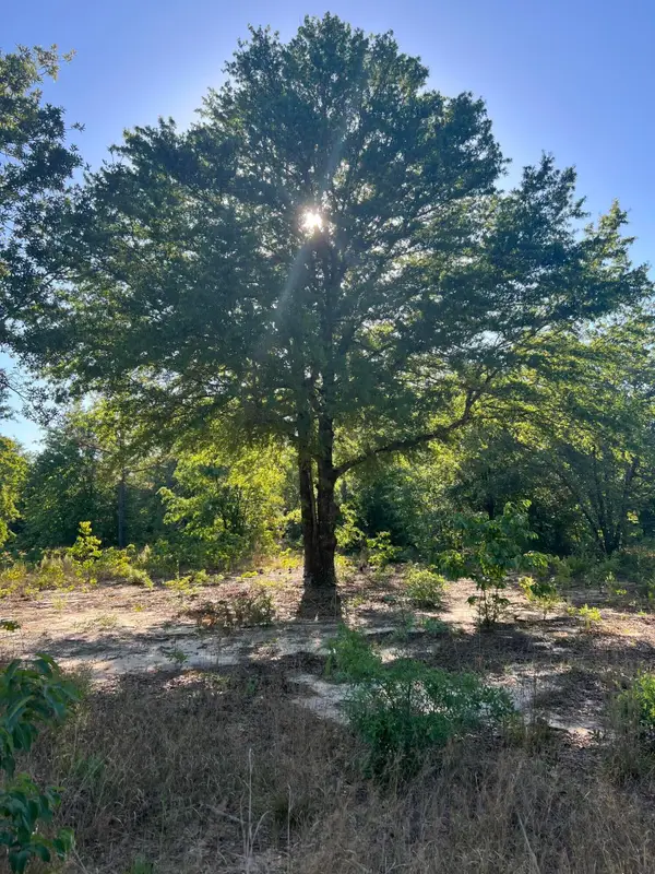 00 Pearl Bonnet Road, Windsor, SC 29856