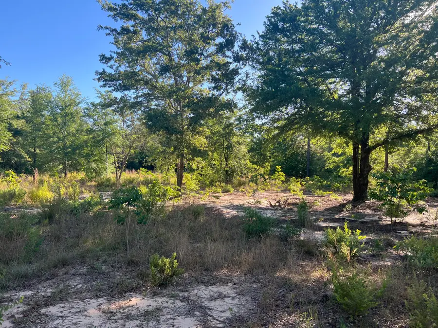 00 Pearl Bonnet Road, Windsor, SC 29856 - #2