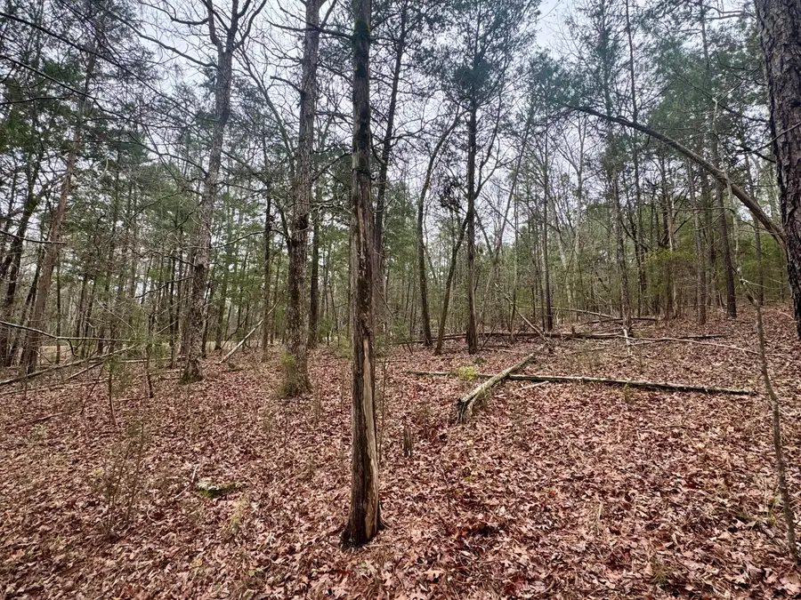 0 St. Barnabas Church Rd, Jenkinsville, SC 29065 - #3