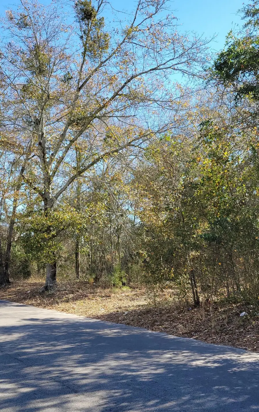 0 Barnwell Highway, Denmark, SC 29042 - #2