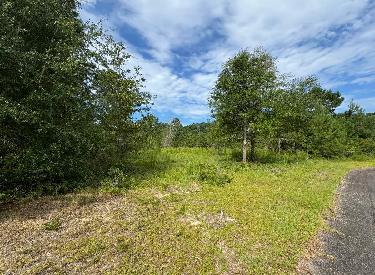 Lot 14 Ash Lane, Williston, SC 29853 - #1