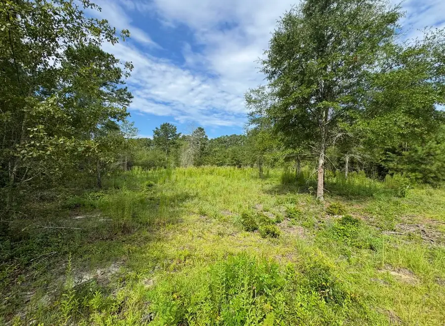 Lot 14 Ash Lane, Williston, SC 29853 - #2