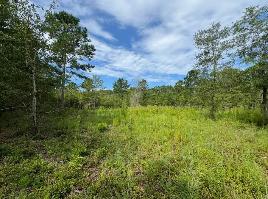 Lot 14 Ash Lane, Williston, SC 29853 - #3