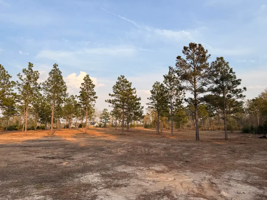 734 State Park Road, Windsor, SC 29856 - #2