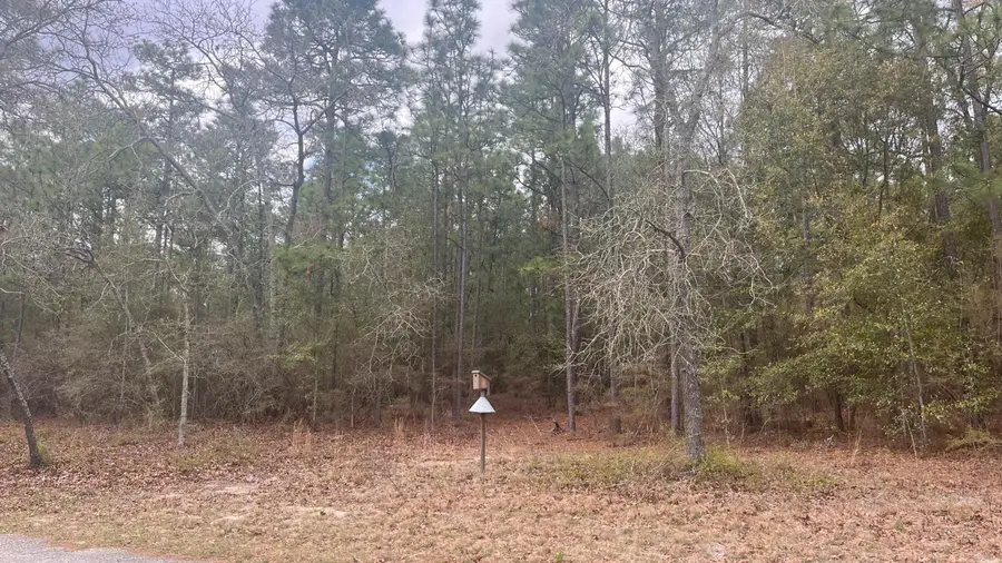 00 Edisto Lake Road, Wagener, SC 29164 - #3