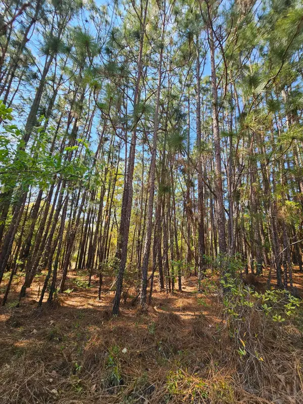 Lot 11a Summer Place Drive, Aiken, SC 29801