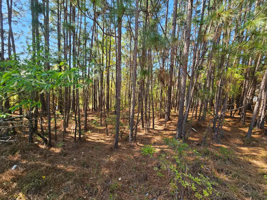 Lot 11a Summer Place Drive, Aiken, SC 29801 - #2