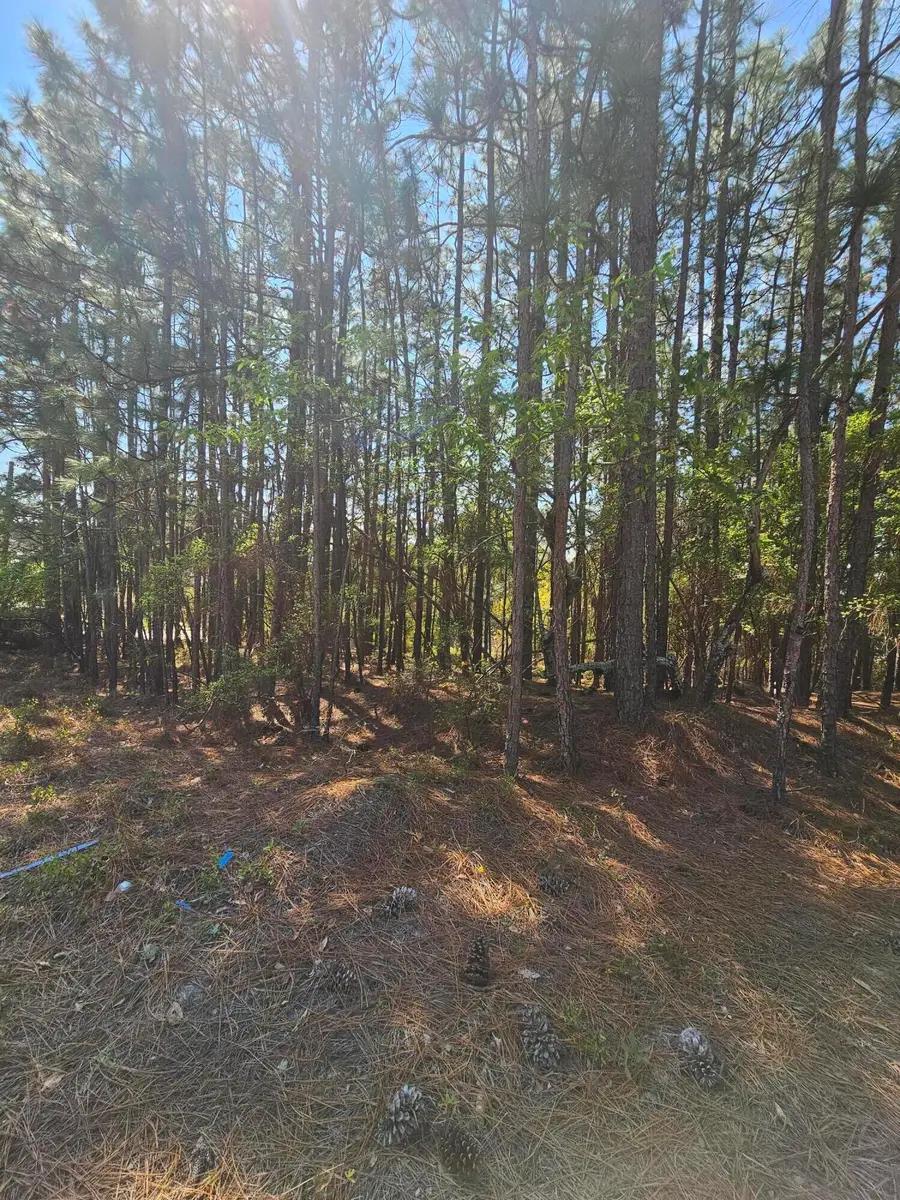 Lot 11a Summer Place Drive, Aiken, SC 29801 - #3
