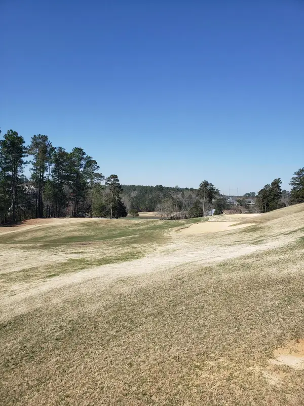 543 W Pleasant Colony Drive #Lot 290, Aiken, SC 29803