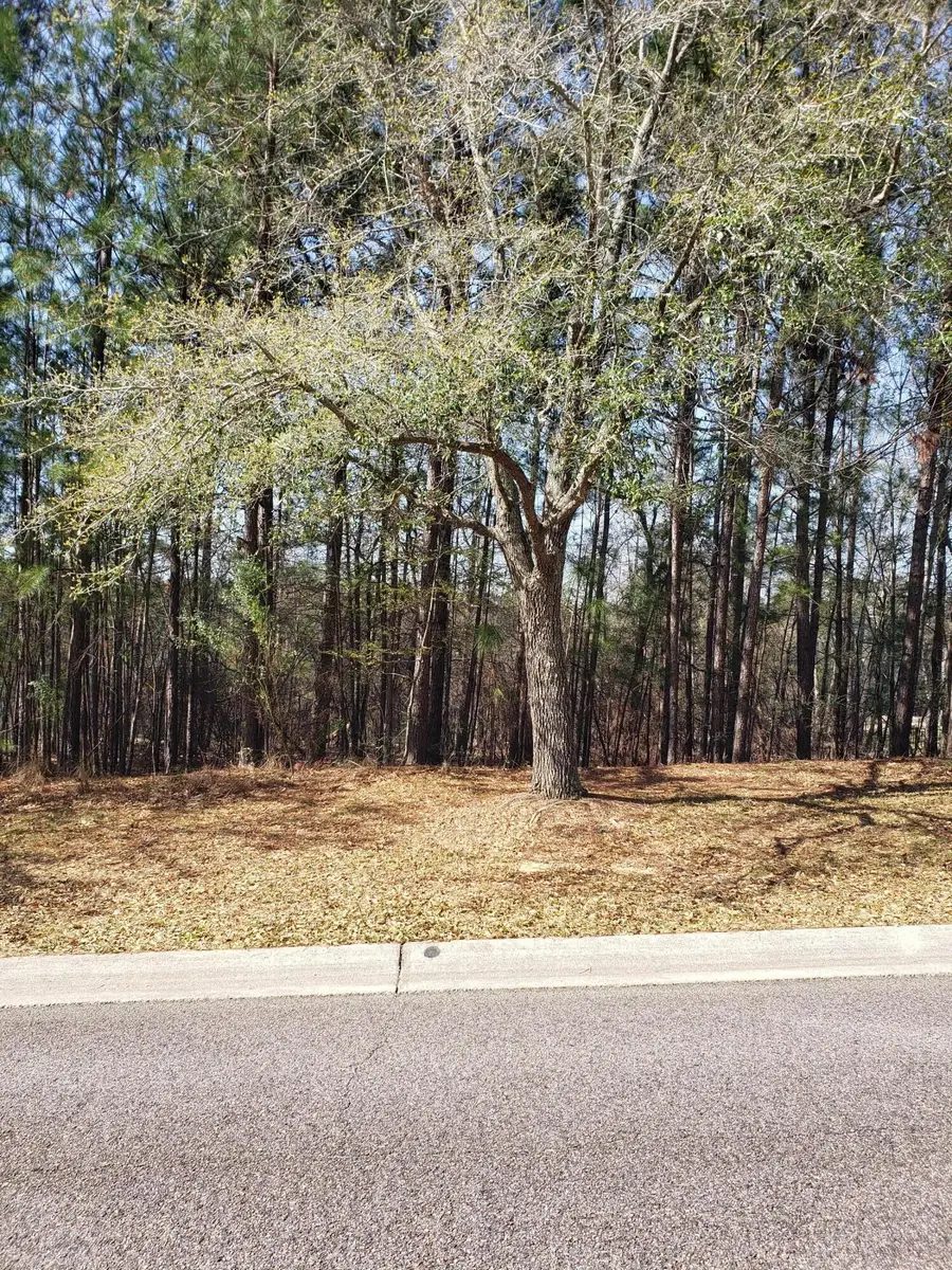 543 W Pleasant Colony Drive #Lot 290, Aiken, SC 29803 - #2