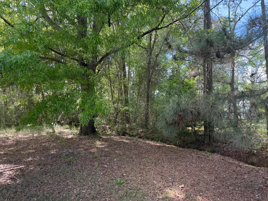 103 Peach Street, Denmark, SC 29042 - #3