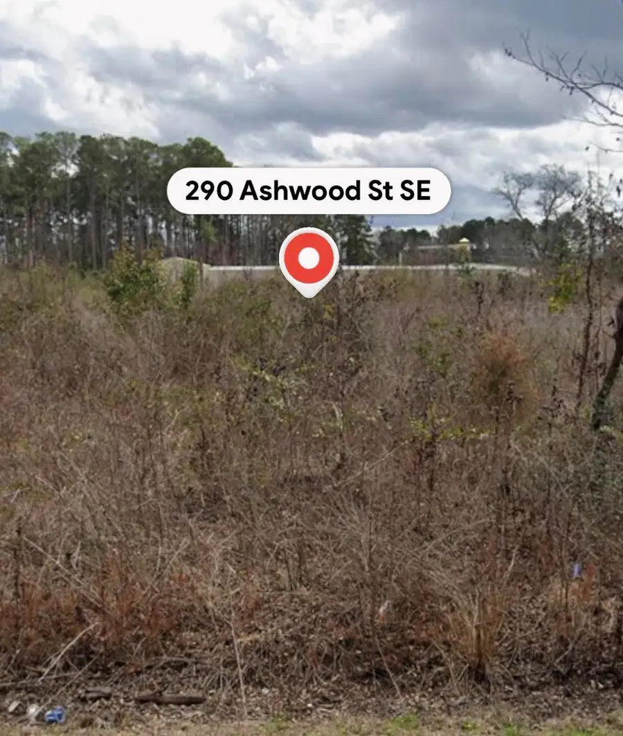 290 Ashwood Street Se, Orangeburg, SC 29115 - #2