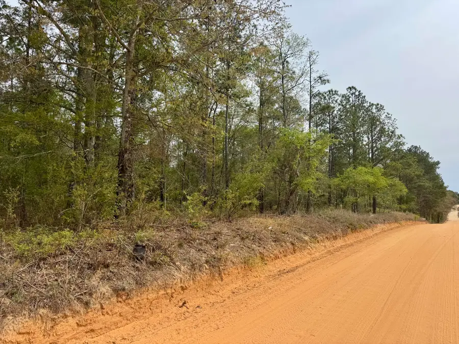 0 Goose Platter Road, Monetta, SC 29105 - #2