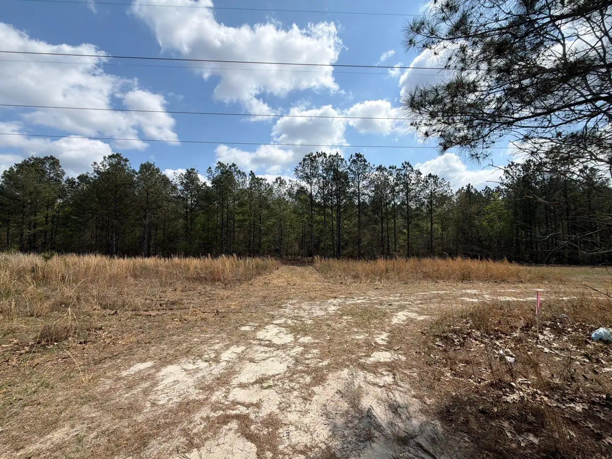 Cva 1 Mount Calvary Road #Cva 1, Ridge Spring, SC 29129 - #1