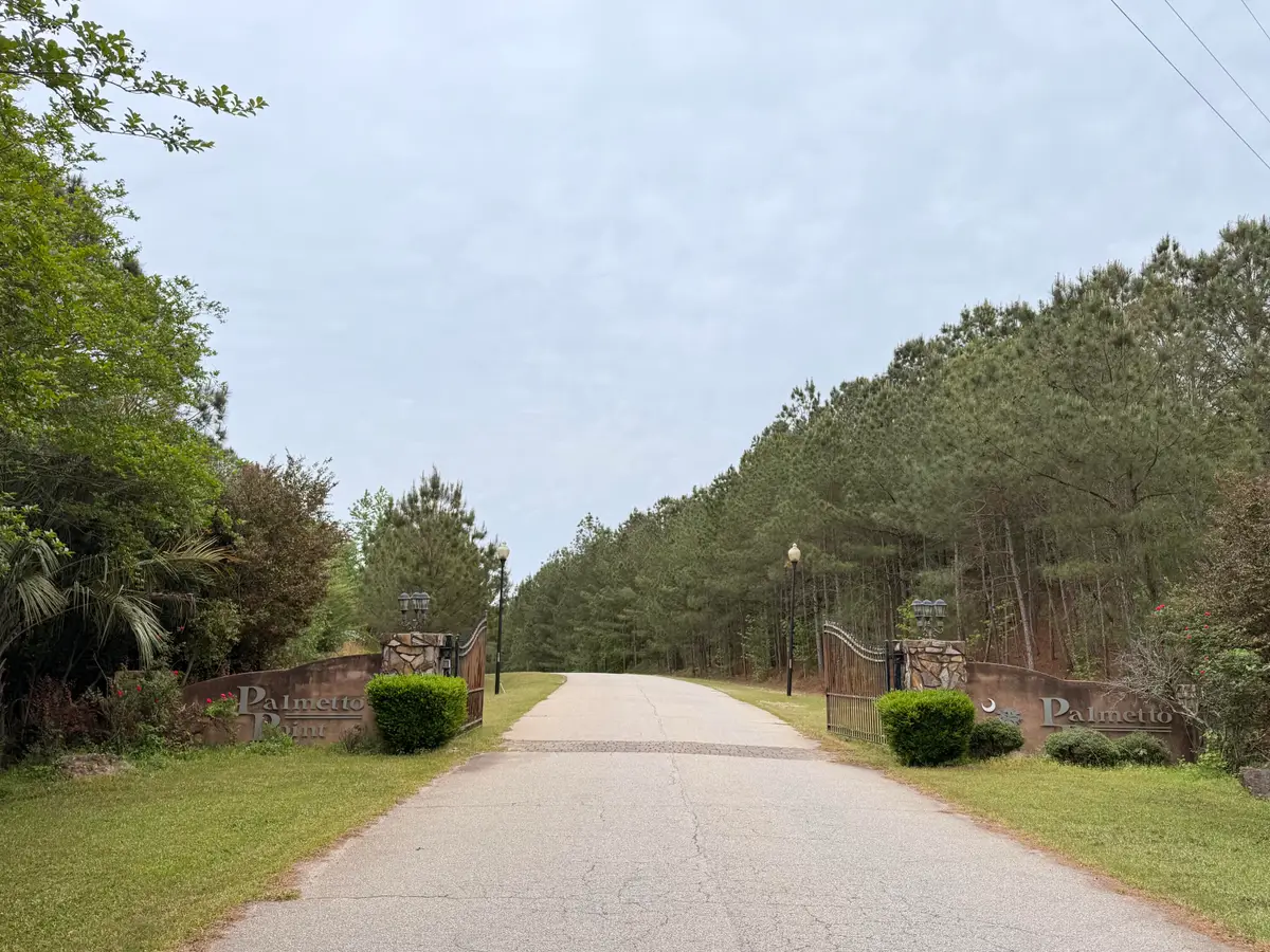 Lot 14 Pindo Pass, North Augusta, SC 29860 - #1