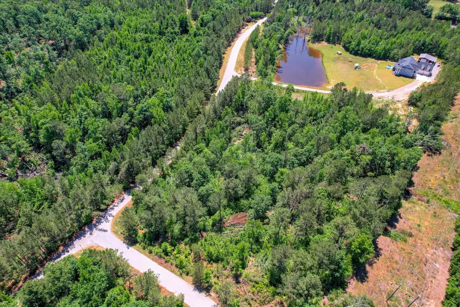 Lot 13 Pindo Pass, North Augusta, SC 29860 - #3