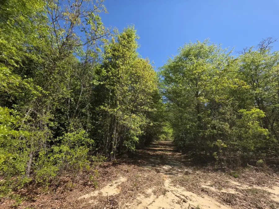 17a Briarwood Drive, Williston, SC 29853 - #2