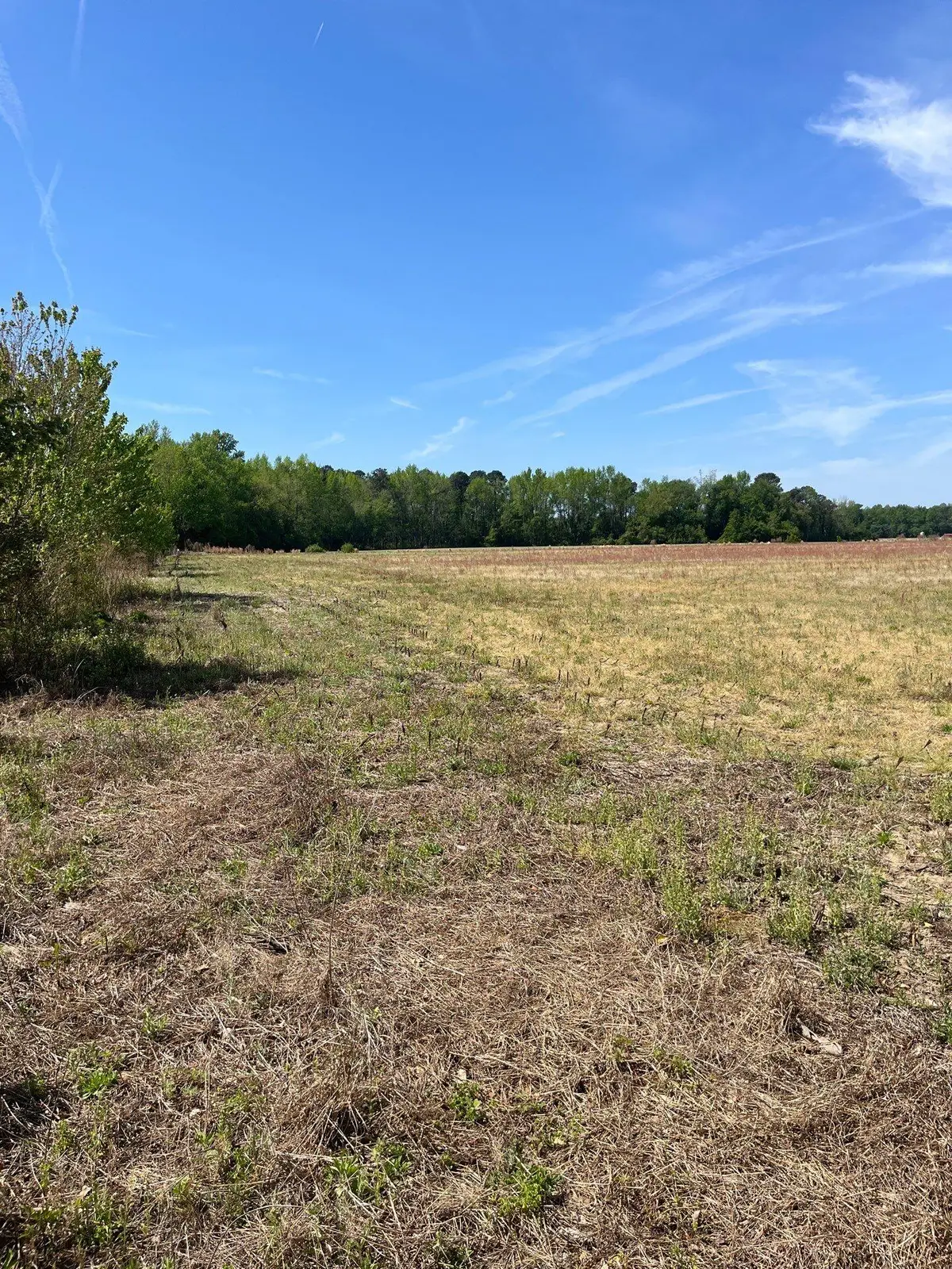 Mta 1 Judson Road #Mta 1, Dillon, SC 29536 - #1